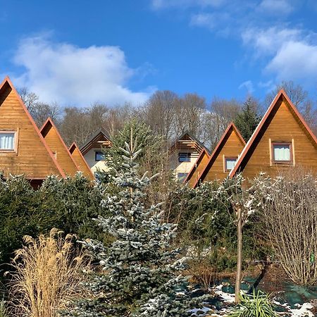 Domki Nad Solina Czarny Kot 509-797-777 Dış mekan fotoğraf