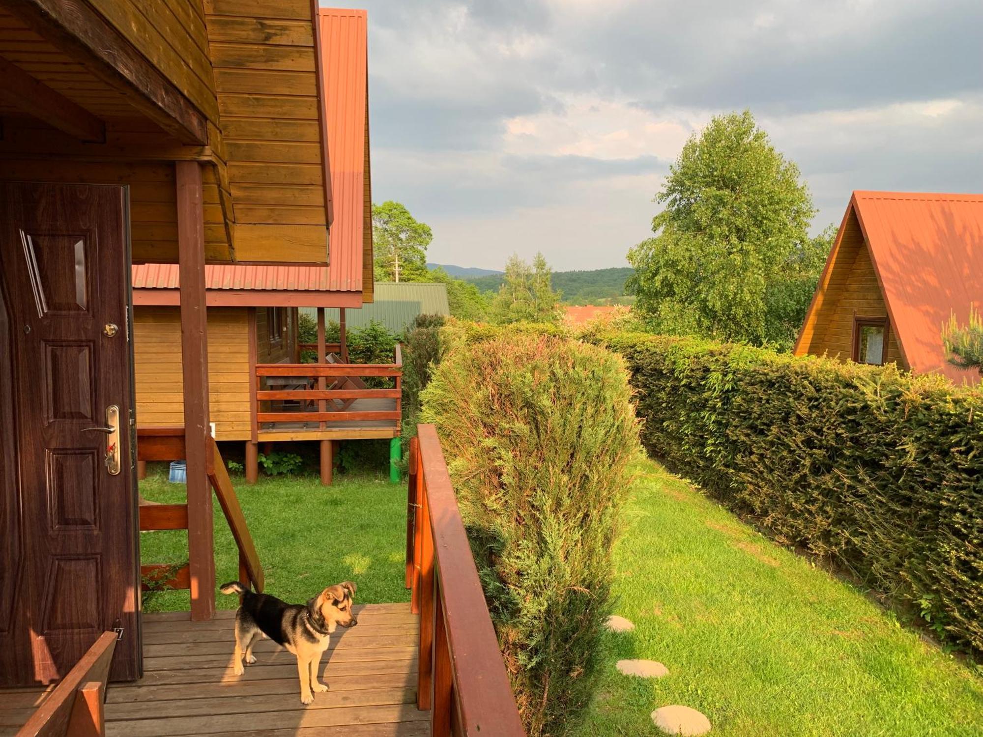 Domki Nad Solina Czarny Kot 509-797-777 Dış mekan fotoğraf