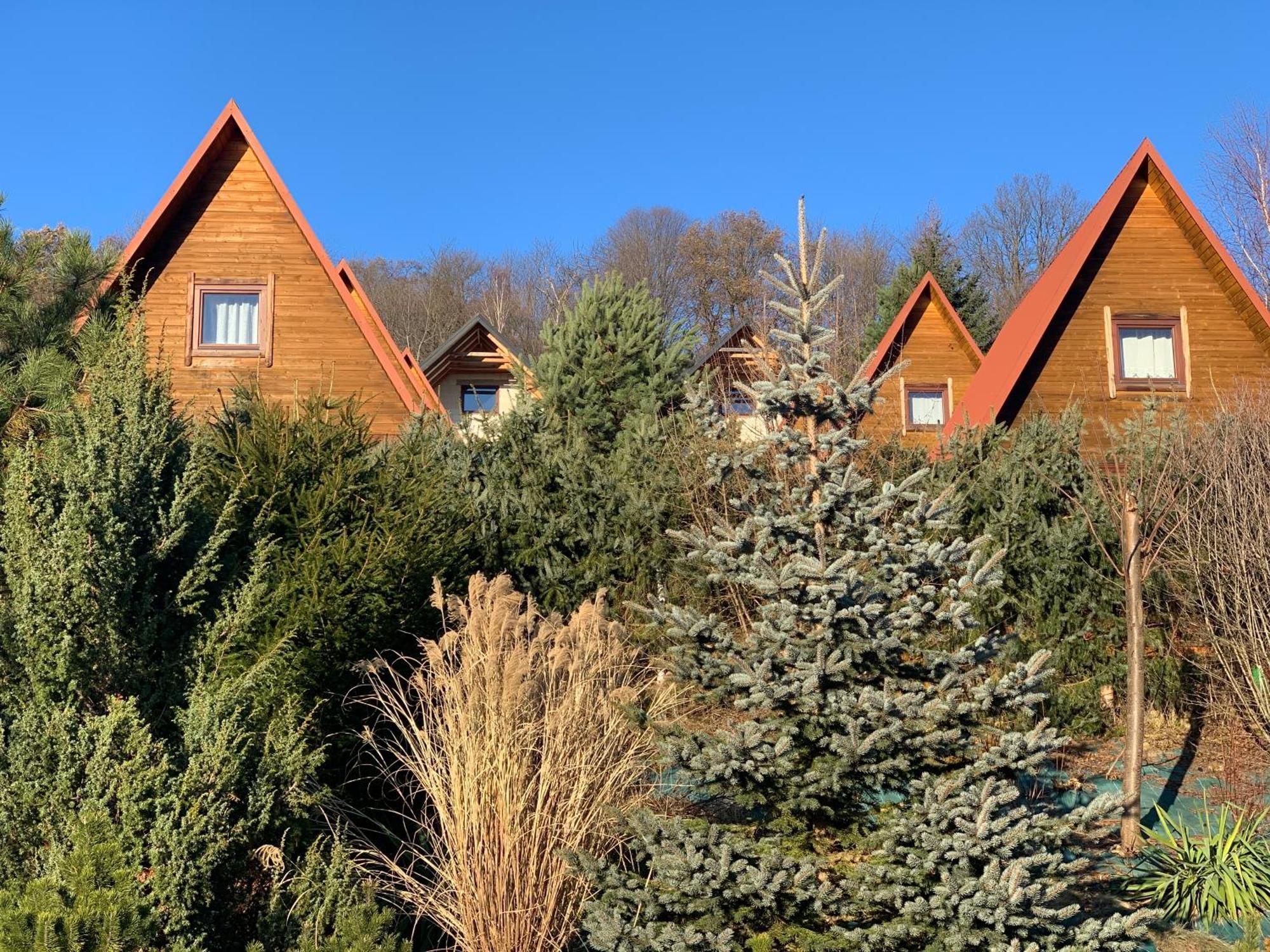Domki Nad Solina Czarny Kot 509-797-777 Dış mekan fotoğraf